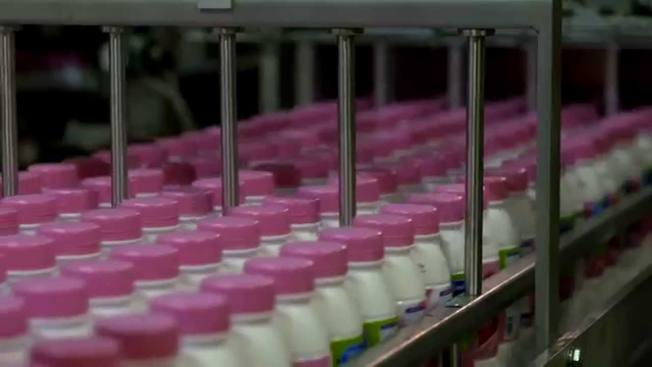مهنيو قطاع الألبان يطالبون بدعم المنتج بدلا من دعم المستهلك