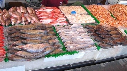 تطور قيمة صادرات منتوجات الصيد البحري بـ 31 %
