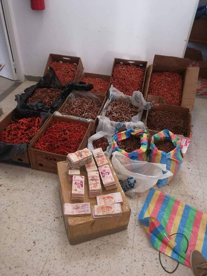 الديوانة تحجز 167 كلغ من المرجان في طبرقة