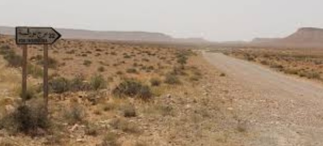 الرابحي يعاين موقع تنفيذ المشروع الفلاحي الأول من نوعه في صحراء تطاوين