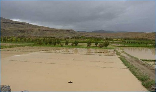 345 مليون دينار قيمة الاضرار الناجمة عن الجوائح الطبيعية في القطاع الفلاحي
