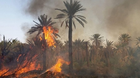 السّيطرة على حريق في واحة حامة الجريد