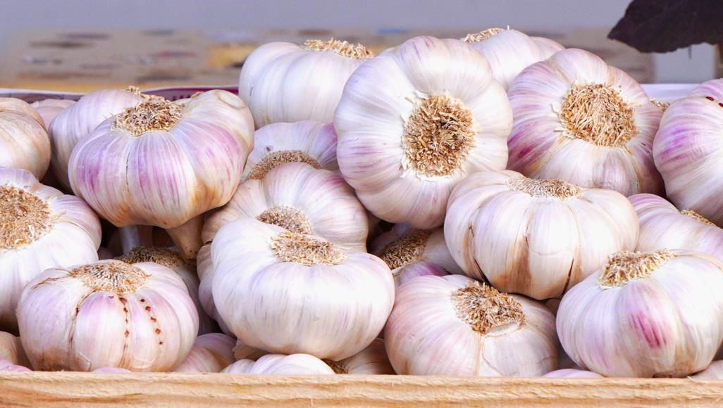 بسبب فيروس “كورونا :ارتفاع سعر الثوم في تونس
