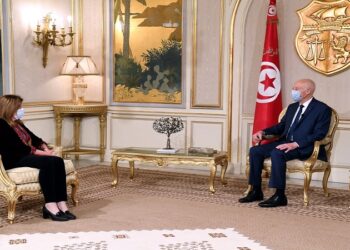 ماذا في لقاء رئيس الجمهورية برئيسة بعثة الأمم المتحدة للدعم في ليبيا؟