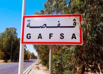 24 نوفمبر: عقد مجلس وزاري لفائدة ولاية قفصة
