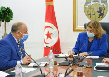 تراكم ديون شركة الحلفاء: وزارة الصناعة تدرس خطة عاجلة لإعادة هيكلتها