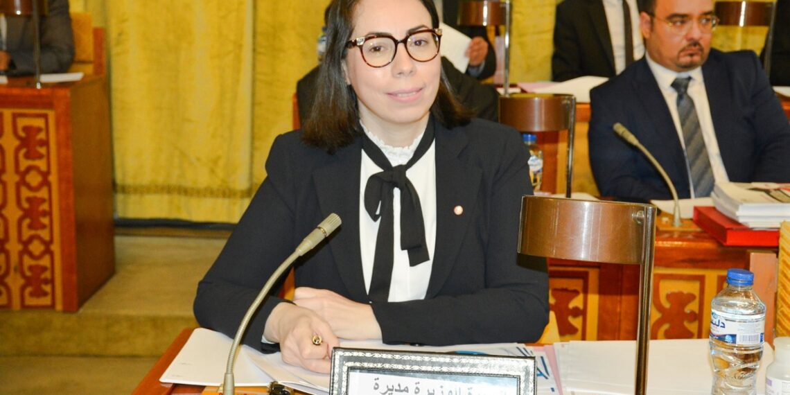 رئاسة الجمهورية :”بإمكان النواب الحصول على جواز سفر المهمة “