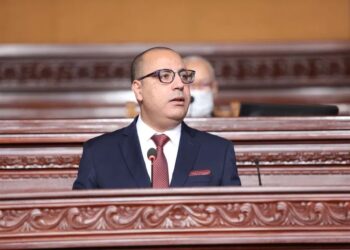 عبد اللطيف الحناشي: “من الصعب ان تستمر حكومة المشيشي على هذه الشاكلة”
