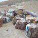 ”نفايات رواد” لاعلاقة لها بالنفايات الإيطالية