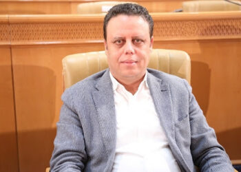 هيكل المكي:” هشام المشيشي أسير الحزام السياسي”