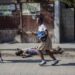 مقتل 25 شخصا خلال عملية هروب من أحد السجون في هايتي