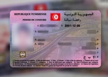 مشروع أمر حكومي لمراجعة منظومة رخص السياقة