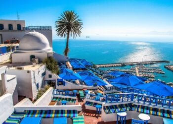 أكبر متعهدي الرحلات في العالم يُؤكدون ان تونس وجهة مفضلة للسياح