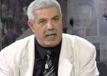 الحناشي: الانتقادات التي رافقت زيارة قيس سعيد الى مصر “لا مبرر لها”