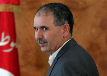الطبوبي: قرار حظر الجولان غير صائب