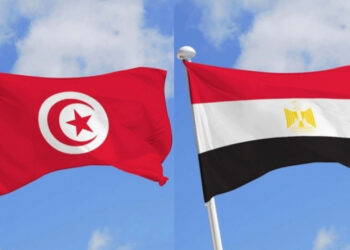 تونس تتباحث مع مصر التحرك العربي في مجلس الأمن