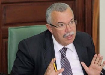 البحيري: ما حدث انقلاب وتكريس لنظام الحكم الفردي والديكتاتورية