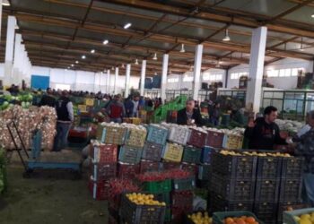 ارتفاع أسعار الجملة لشريحة واسعة من الخضر والغلال والأسماك