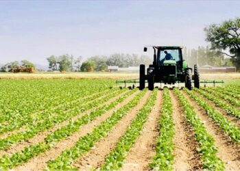 الاستثمارات الفلاحية الخاصة المصادق عليها تتجاوز 200 مليون دينار
