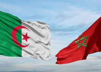 الجزائر تقرر قطع العلاقات الدبلوماسية مع المغرب