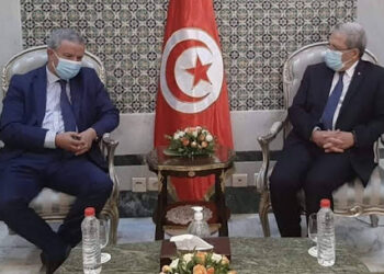 ماذا في لقاء الجرندي برئيس البعثة الدولية لتقصي الحقائق بليبيا؟
