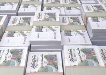 الجزائر: “تسوية ودّية” لاسترجاع الأملاك المنهوبة
