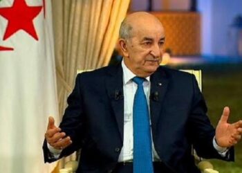 تبون :” سنقوم بزيارة دولة إلى تونس بمجرد الإعلان عن الحكومة الجديدة “