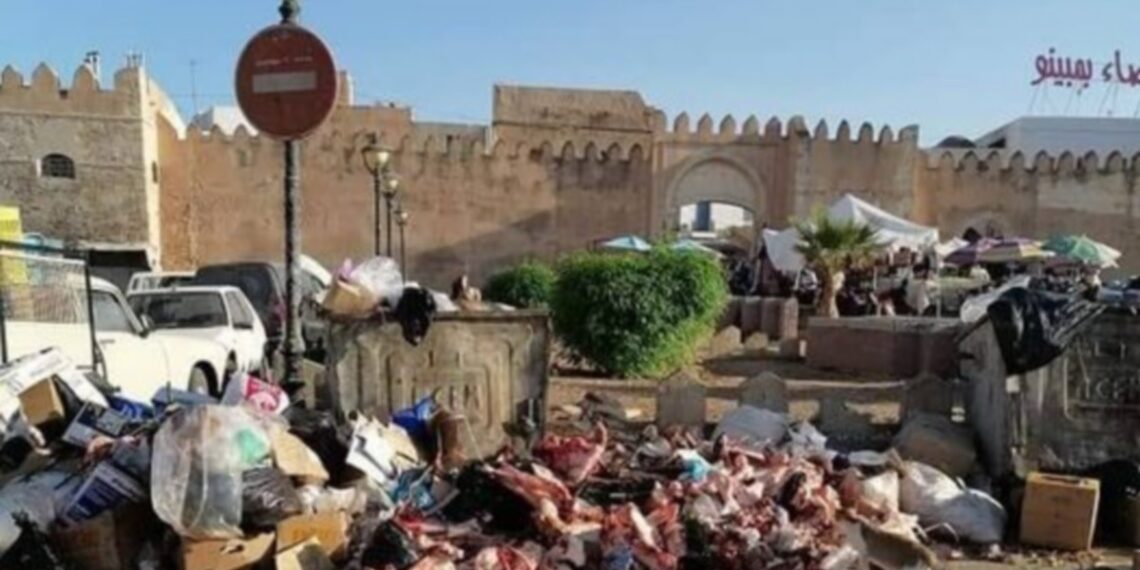 تنسيقية البيئة والتنمية بصفاقس: 640 طنا من النفايات تكدس يوميا بالجهة