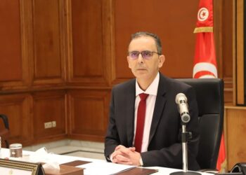 وزير أملاك الدولة يدعو التونسيين  “للرأفة بالبلاد والتحلي بروح الوطنية “