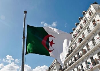 الدفاع الجزائرية: مقتل عسكريين في اشتباكات مع إرهابيين على حدود النيجر‎