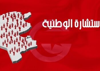 أكثر من 50 ألف مشارك في الاستشارة الالكترونية