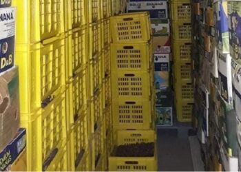 بن عروس: حجز كميات هامة من الغلال داخل مخزن بقيمة مالية فاقت 8 مليون دينار