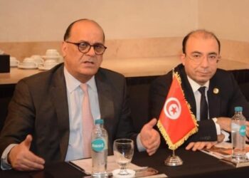 مجلس الأعمال التونسي الإفريقي: شركات مصرية عملاقة تنوي الاستثمار في تونس