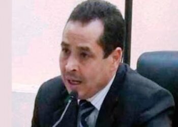 البشير العكرمي :”تعرضت للتهديد من طرف احد المقربين من قيس سعيد “