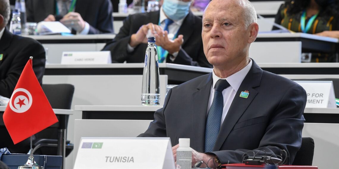 سعيّد: “لا بد من عودة الأموال والثروات المنهوبة إلى شعوب القارة الافريقية”