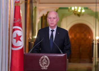 سعيد :”الدولة لم تدفع أي مليم في الاستشارة الوطنية “