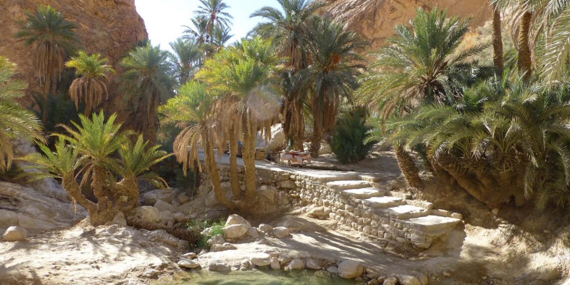 خريف 2022: افتتاح منتجع سياحي ضخم في دوز لمستثمر من سانغفورة