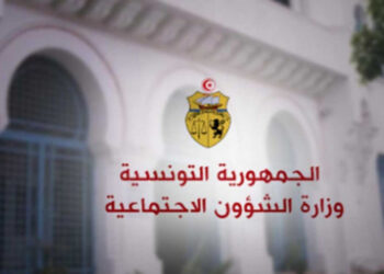 نشر بالرائد الرسمي: مشمولات وتركيبة وطرق سير أعمال المجلس الأعلى للتنمية الاجتماعية