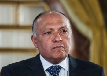 وزراء خارجية عرب يزورون موسكو ووارسو لبحث الوضع في أوكرانيا