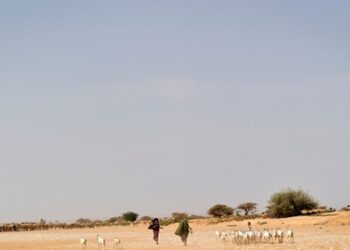 الجفاف يجبر 805 آلاف صومالي على النزوح