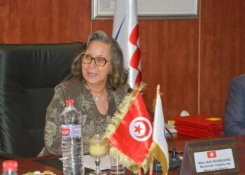 الشبكة الكهربائية الذكية: مشروع جديد لتحسين مردودية “الستاغ