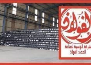 تاجيل اضراب أعوان شركة “الفولاذ”..وهذه مطالبهم