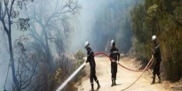 بنزرت: تطويق حريق جبل مخيش