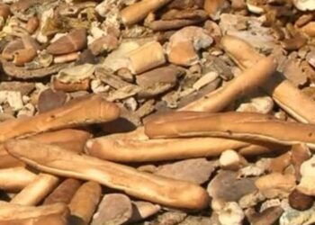 900 ألف ‘خبزة’ يتم إتلافها يوميا: وزارة التجارة تدعو إلى ترشيد الاستهلاك (فيديو)
