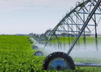 الفلاحة التونسية تتجه نحو التكنولوجيا الحديثة .. وارتفاع في الاستثمارات بأكثر من 30 بالمائة