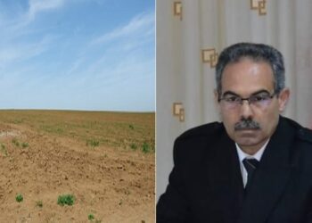 ر م ع الوكالة العقارية للسكنى: “شروط جديدة لاقتناء الأراضي… ومشاريع لإنجاز مدن عمرانية في 6 ولايات”