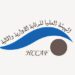 هيئة الرقابة الإدارية و المالية: المنظومة الرقابية تشكو عديد النقائص و الرقمنة هي الحل