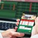 العريبي: 500 مليون دينار عائدات نشاط الرهان الرياضي سنويّا