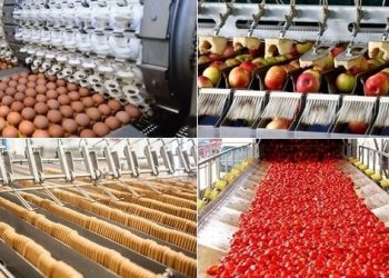 صادرات الصناعات التحويلية ..ترتيب تونس عربيا