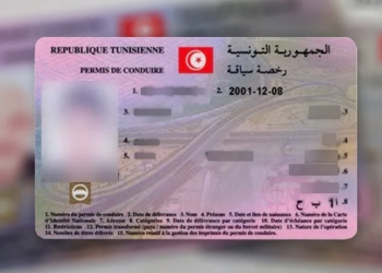 قريبا ..تجديد رخصة السياقة عن بعد